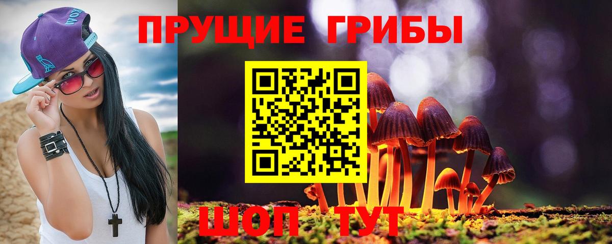 Березники  Псилоцибиновые грибы прущие грибы  Псилоцибиновые грибы мухоморы  Вход с VPN 